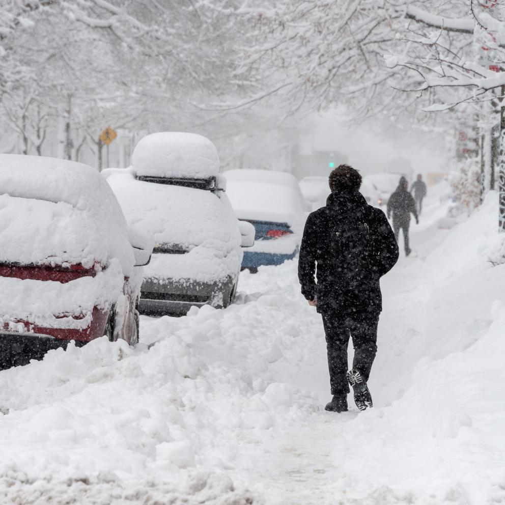 Une rue résidentielle, des trottoirs et des voitures garées sont recouverts de neige. Un homme marche sur un trottoir enneigé.  