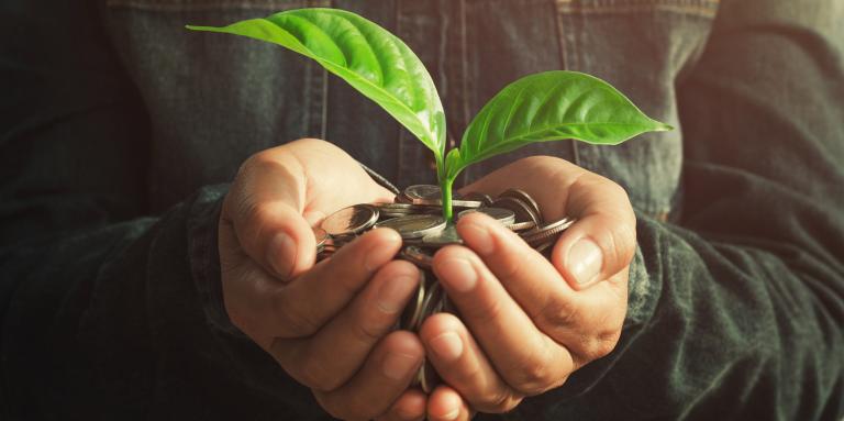 plante poussant avec des pièces dans la main