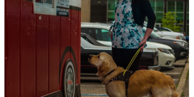 Larissa devant un camion de cuisine de rue avec Piper – un chien-guide Golden Retriever portant un harnais jaune.