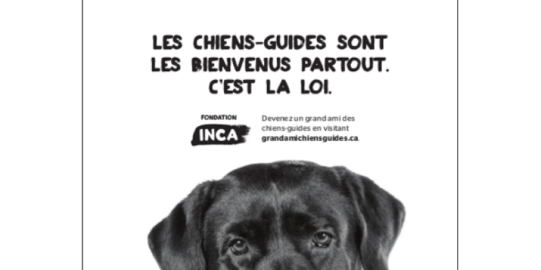 Une bannière blanche avec un labrador noir La bannière comporte ses yeux qui jettent un coup d'œil au bas de la page. Texte "Les chiens guides appartiennent partout. C'est la loi."