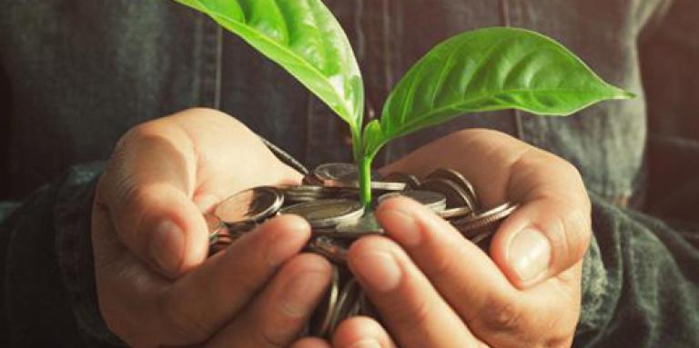 Deux mains tenant un tas de pièces de monnaie avec une plante verte poussant au milieu