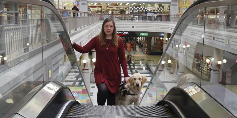 Une femme monte un escalier mécanique avec son chien-guide.