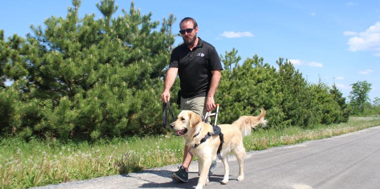 Rob walking down the road on a sunny day, holding onto the harness of Cody, a CNIB Guide Dog