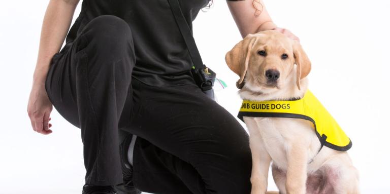 Un entraîneur des Chiens-guides d’INCA à genoux à côté d’un chiot portant un gilet jaune