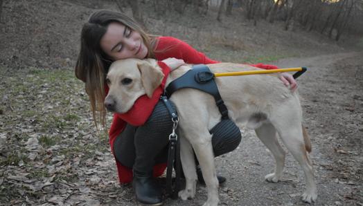 Danika hugging a Lab/Golden Retriever cross in a yellow harness.