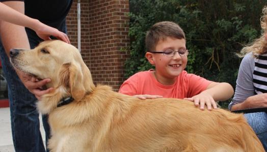 A young boy and a Golden Retriever.