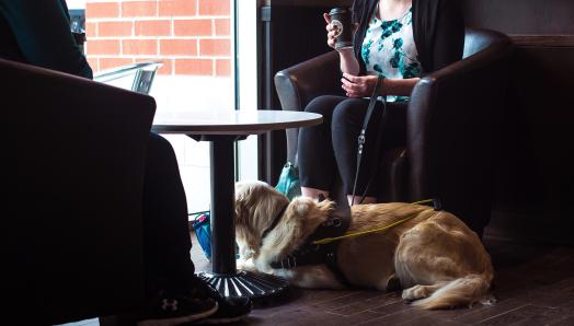 Two people sitting in a café, talking and laughing. A guide dog is laying under the table at their feet.