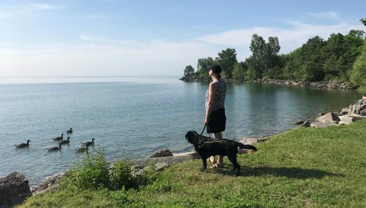 Cindy et son chien-guide Barney, un Labrador-Retriever noir, sur la berge d’un lac où nagent des canards.