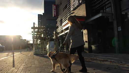 Une femme et son chien-guide, un golden retriever, marchant sur un trottoir au coucher de soleil, en contrechamp de l'appareil photo.