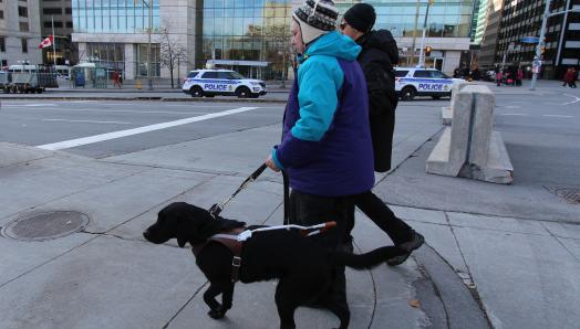 Sandy and her guide dog Keller, walking along a sidewalk in a busy downtown area during a cold day.