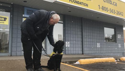 Jack Clarkson et Lulu devant le bureau d'INCA à Regina par une journée enneigée; Lulu, un croisement de Labrador-Golden Retriever noir est assis et porte un gilet jaune Futur chien-guide, pendant que Jack se penche pour lui flatter la tête