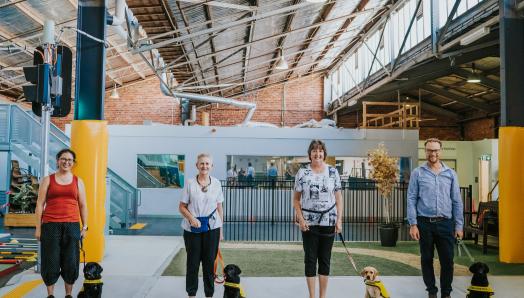 Four future CNIB Guide Dogs being raised in Australia from left to right: Rex, Harley, Bridget and Oscar, sitting next to their volunteer puppy carers.