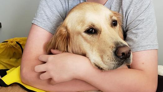 Gabriel assis sur le parquet en bois dur tient dans ses bras la tête de son Golden Retriever.