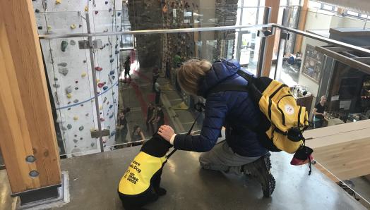 Un Labrador-Retriever noir chiot portant un gilet jaune vif de « Futur chien-guide » assis devant une balustrade en verre surplombant un site d'escalade, avec son éleveur à genoux à côté de lui qui lui caresse la tête.