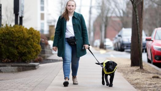 Maja marche sur un trottoir en direction de l'appareil photo, tenant la laisse de Lily qui marche à ses côtés; Lily est jeune labrador noire croisée golden retriever, portant un gilet jaune vif de futur chien-guide.