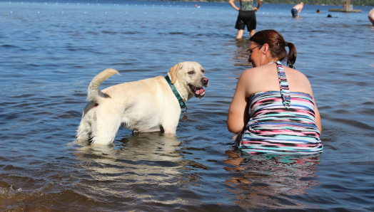 Une femme en maillot de bain et un chien labrador jaune portant un collier sont assis au camp Lake Joe d’INCA