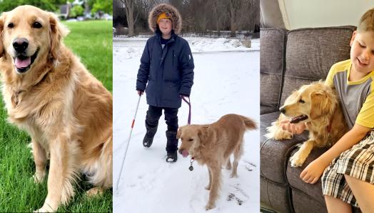 Un collage de trois photographies. Gauche: Queenie, un golden-retriever. Centre: Mason, vêtu d'un manteau bleu, dans la neige, tenant la laisse de Queenie de la main gauche et sa canne blanche de la main droite.  Droit. Mason assis sur le sofa en train de câliner Queenie, un golden retriever. 