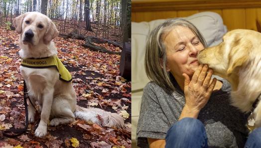 Flanders portant sa veste de futur chien-guide d'INCA et assis dans les feuilles d'automne qui jonchent le sol; Claire, l'éleveuse de chiots, assise sur le sol en train de câliner Flanders. 