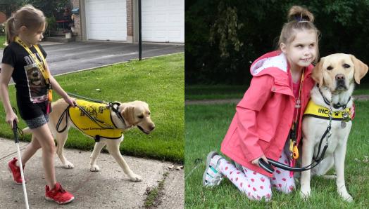 Abigail is walking on the sidewalk holding her white cane in her right hand, and holding Lindsay’s leash in her left hand while Lindsay is walking beside her wearing her bright yellow Buddy Dog vest, and Lindsay’s mom is walking behind them holding onto a secondary leash; Abigail is kneeling on the grass next to her yellow Lab Buddy Dog, Lindsay.