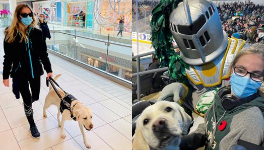 Belle rolling on the floor smiling with her belly exposed; Rylan being guided by Belle while walking in a mall; Rylan and Belle at a hockey game posing in their seats with a mascot.