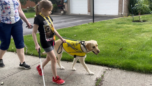 Abigail walks on the sidewalk holding her Buddy Dog Lindsay’s leash in her left hand; Lindsay is wearing a gentle leader; Abigail’s mother follows behind, also holding onto a leash.