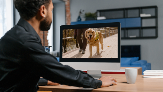  A young man sits at a desktop computer. Displayed on his computer screen is a back issue of the Guide Dog Gazette.  