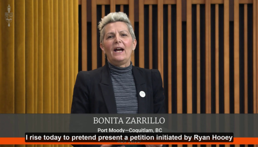 La députée Bonita Zarrillo dépose la pétition d’INCA sur les pompes à insuline accessibles à la Chambre des communes.