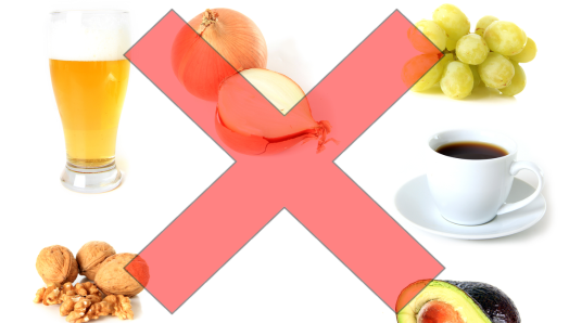 A collage of toxic foods including a cup of beer, onions, grapes, a cup of coffee, chocolate, gum, nuts. In the centre of the collage is a giant red X illustration/overlay. 