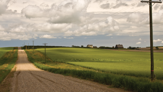 Une route de gravier traverse une ferme luxuriante dans le Canada rural. Le temps est couvert et les nuages sont bas. Au loin apparaît une maison de ferme.