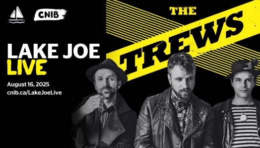 Lake Joe live affiche du groupe The Trews