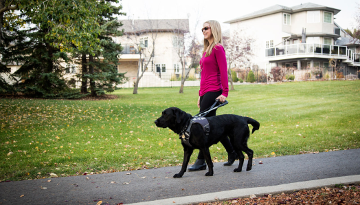 En extérieur, une jeune utilisatrice d'un chien-guide navigue sur un trottoir résidentiel avec son chien-guide noir. Le chien-guide est harnaché et l'utilisateur tient fermement la poignée du harnais.