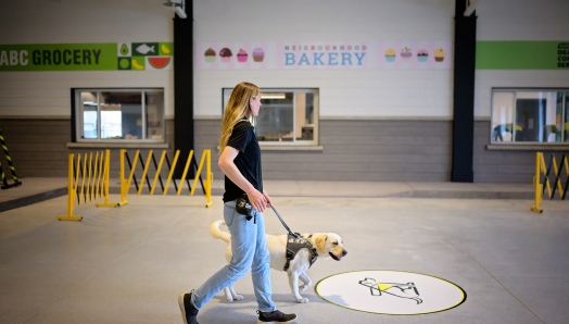 Un dresseur à la peau claire et aux longs cheveux blonds, vêtu d'une chemise noire et d'un jean bleu, marche avec un labrador jaune en harnais dans la ville intérieure des Chiens-Guides d’INCA. Derrière eux se trouvent des barrières de sécurité et des enseignes de magasins indiquant « ABC Grocery » et « Neighborhood Bakery ».