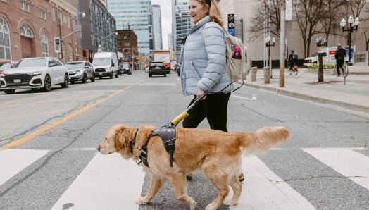 Lindsay et son chien-guide Charles, un golden retriever, traversant une rue très fréquentée de Toronto.