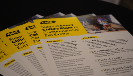 Plusieurs brochures sont disposées en éventail sur une table. Chaque brochure comporte un en-tête jaune avec le logo d'INCA et un texte en noir indiquant « Support Every Child’s Right to Comprehensive Eye Exams ». 