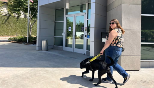 Chelsea Masson se promène avec son chien-guide noir, Rango, devant le bâtiment de Guide Dogs of America par une journée ensoleillée. Chelsea porte un haut sans manches à fleurs, un jean bleu et des lunettes de soleil, tout en tenant le harnais de Rango alors qu’ils passent devant l’entrée.