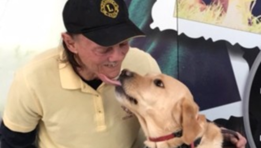 Bill, un utilisateur d'un chien-guide portant un polo jaune et une casquette noire, est agenouillé à côté de son chien-guide, Lionheart, un labrador jaune. Lionheart porte son harnais et lèche le menton de Bill tandis que celui-ci sourit.