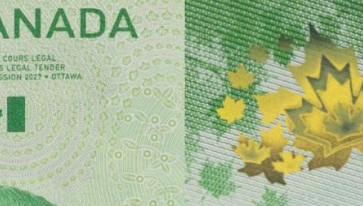 Deux photographies représentant le recto et le verso du billet de 20 dollars « Vertical », mettant l'accent sur les coins supérieurs de chacun. Les photos montrent les chiffres de grande taille et très contrastés.